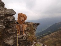 Picui (5)